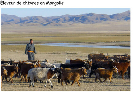 framacarte agriculture, Eleveur mongolie