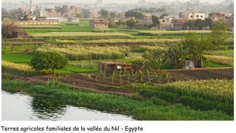 framacarte agriculture, Terres agricoles vallée du Nil