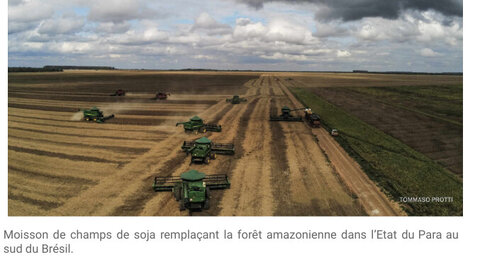 framacarte agriculture, moisson d’un champ de soja; Etat du Para  Brésil 