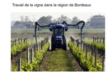 framacarte agriculture, Travail de la vigne dans la région de Bordeaux