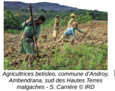 framacarte agriculture, agricultrices sur les hautes terres malgaches