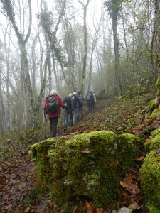 les hauts du Val Suzon le 7 novembre 2024, P1080158