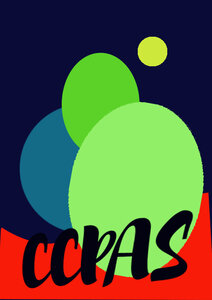 logo CCPAS, essaiIdVisuelle4