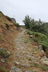 2024_09_07 De la Garde-Guérin à Villefort, IMG_7770 Le chemin de croix montant vers la chapelle Saint-Loup